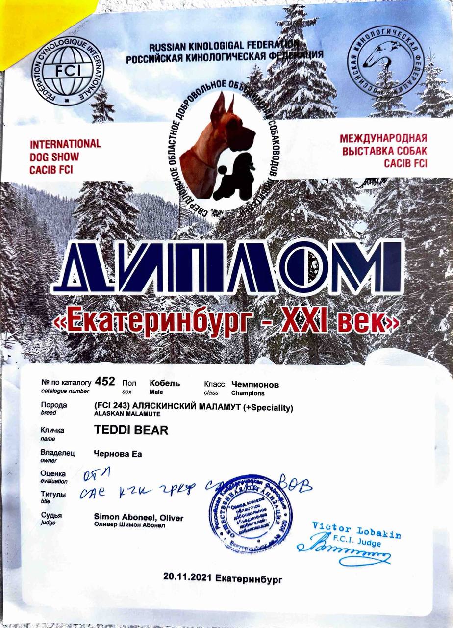 Диплом выставки Belarusian Championship