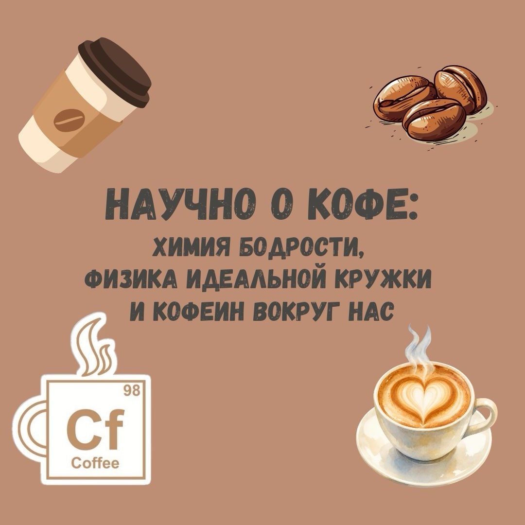 Научно о кофе: химия бодрости, физика идеальной кружки и кофеин вокруг нас