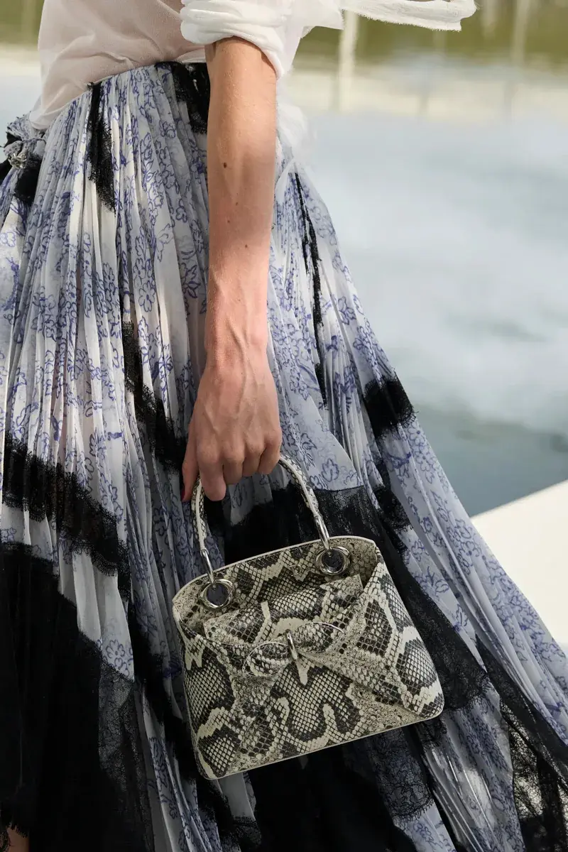 Сумки Dior Spring 2027 11