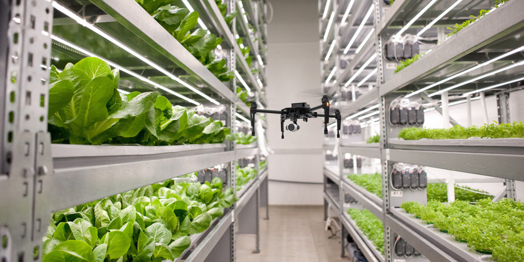 Autonomous drones will help to observe plants