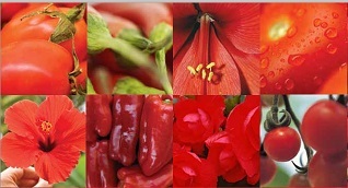 Проектривание систем автополива