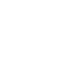 Портретная экспертиза