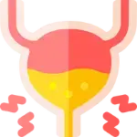 Иконка проблем мочевого пузыря у кошек