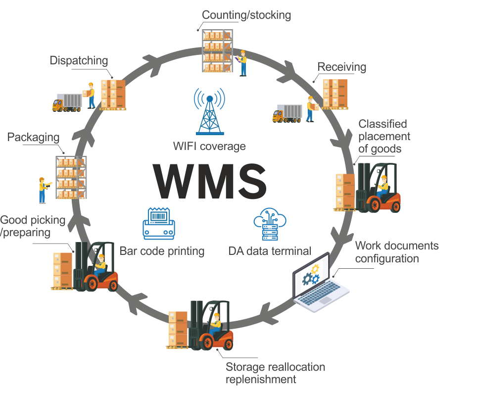 Wms внедрение склад. WMS (Warehouse Management System). WMS система управления складом. 3. WMS (Warehouse Management System). Схема WMS системы.