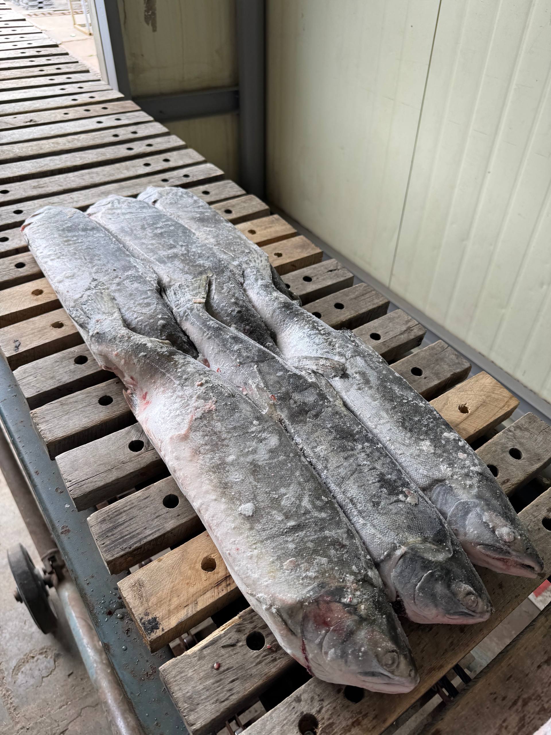 Готовая замороженная продукция