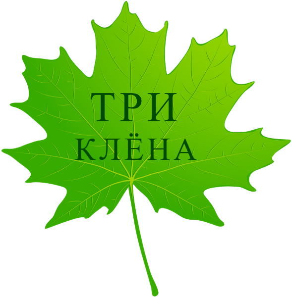 ОТДЫХ В ГОРНОМ АЛТАЕ 2026