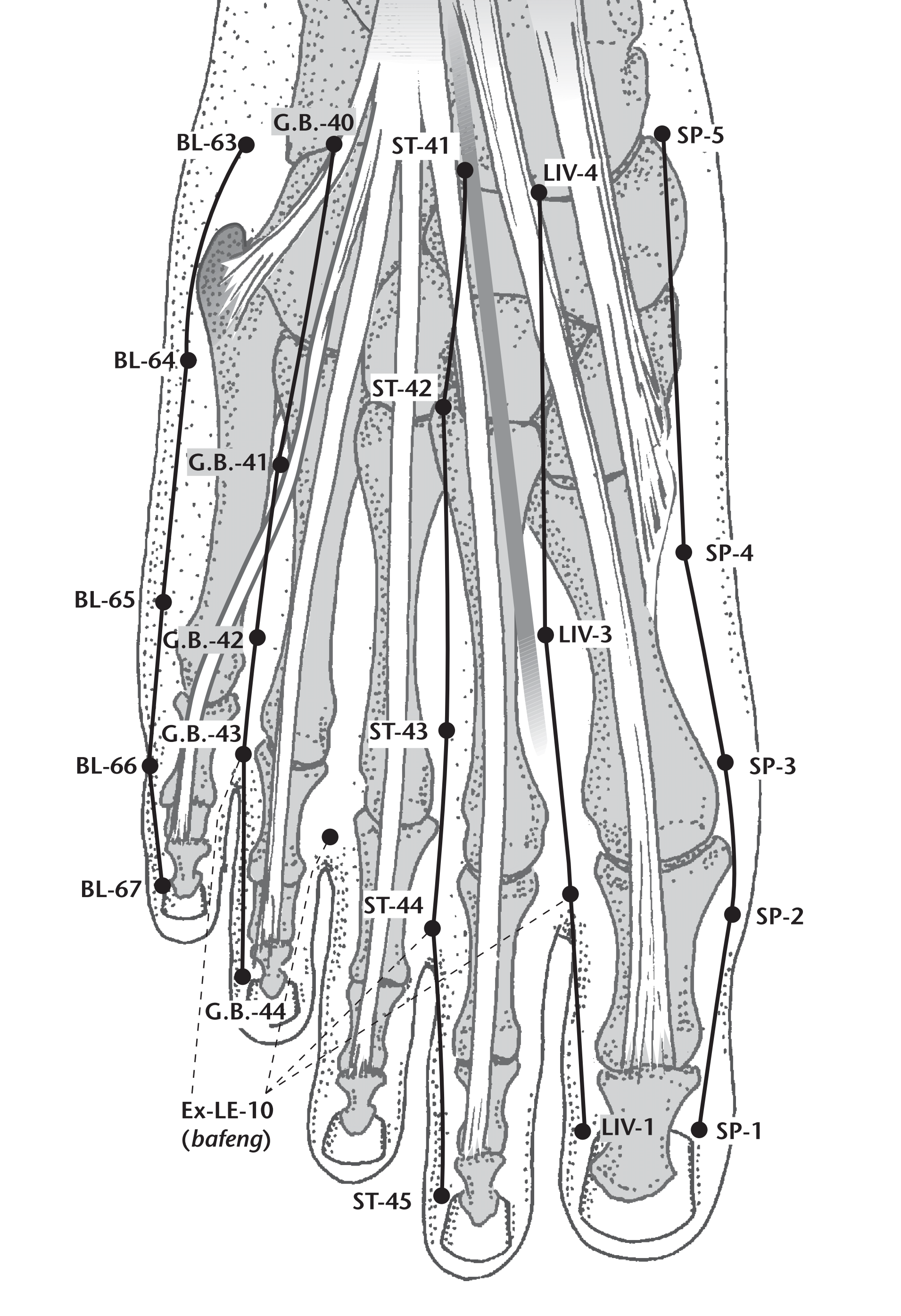 Tanpin points. E45 точка акупунктуры. Точка Сянь ГУ.