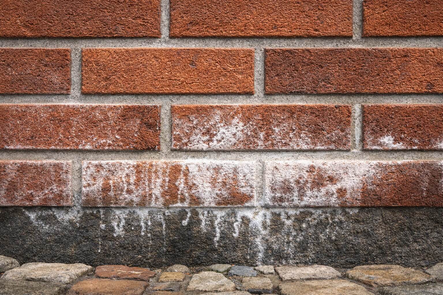 Высолы на клинкерной плитке в нижней части фасада. Белые солевые отложения на кирпиче и швах в зоне намокания.