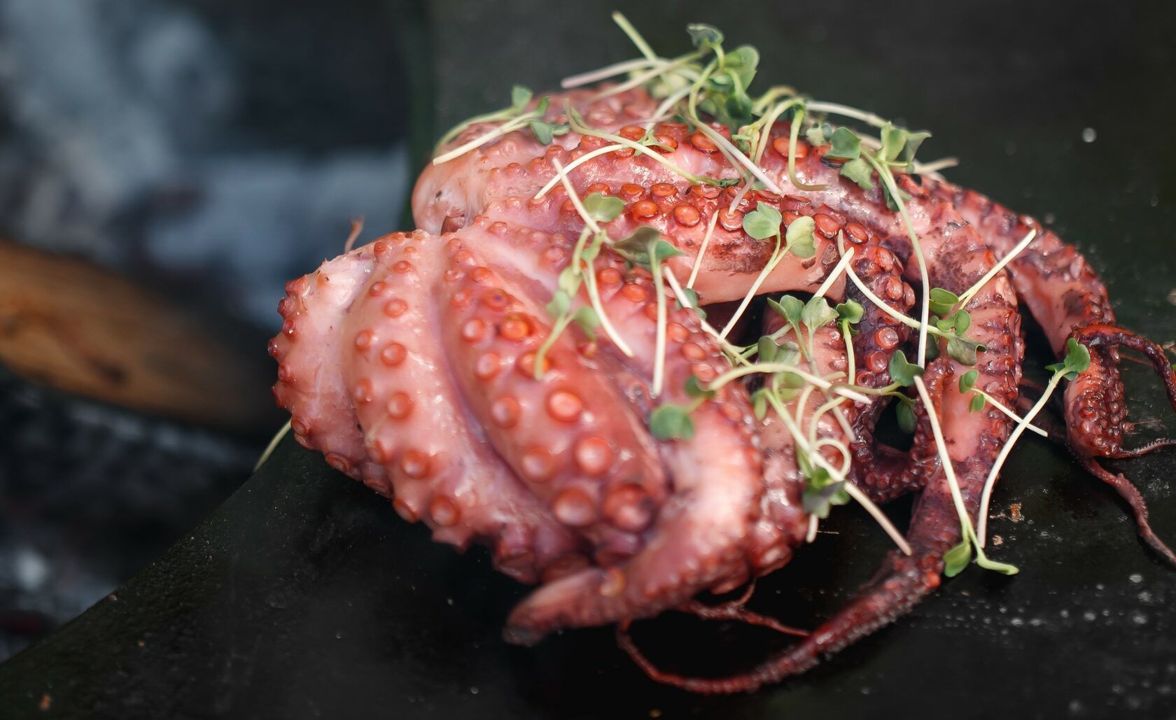 Как приготовить осьминога нежным: простые рецепты