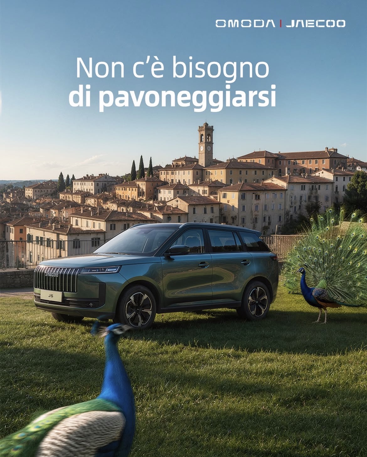 janecoo pavoni