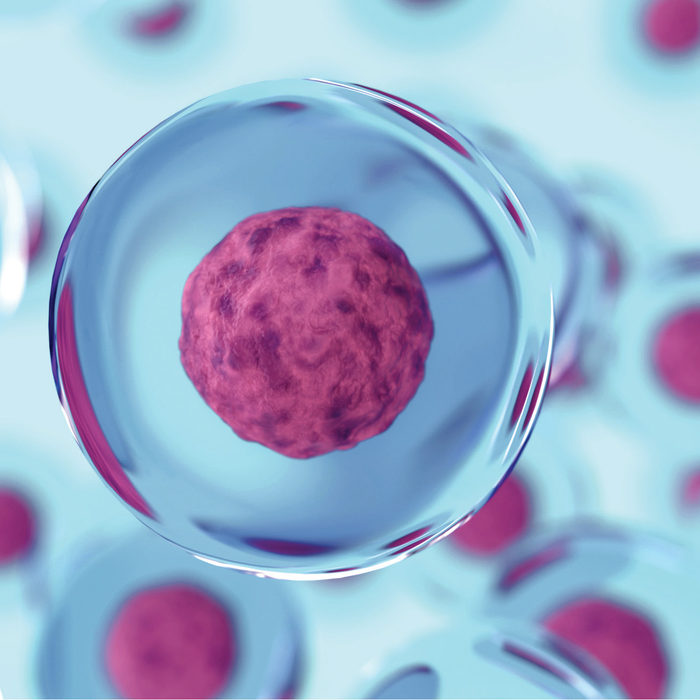 Искусственная клетка 3. Стволовые клетки Япония фото. Клетки крови фон.