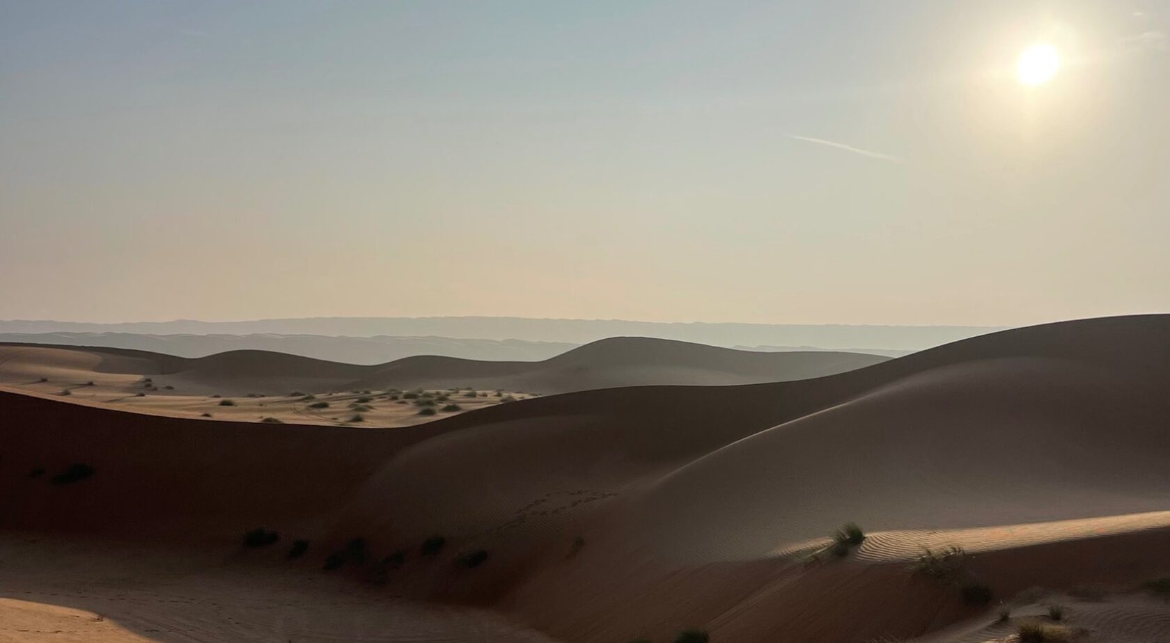Desert landscape