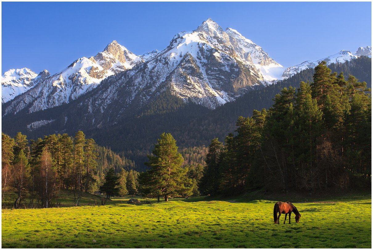 Горы Архыза Картинки