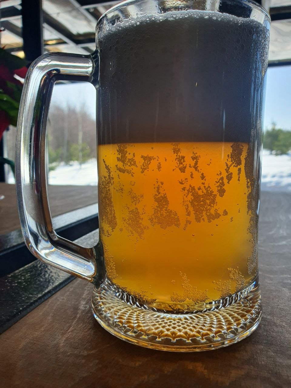 Пиво Jasnovar