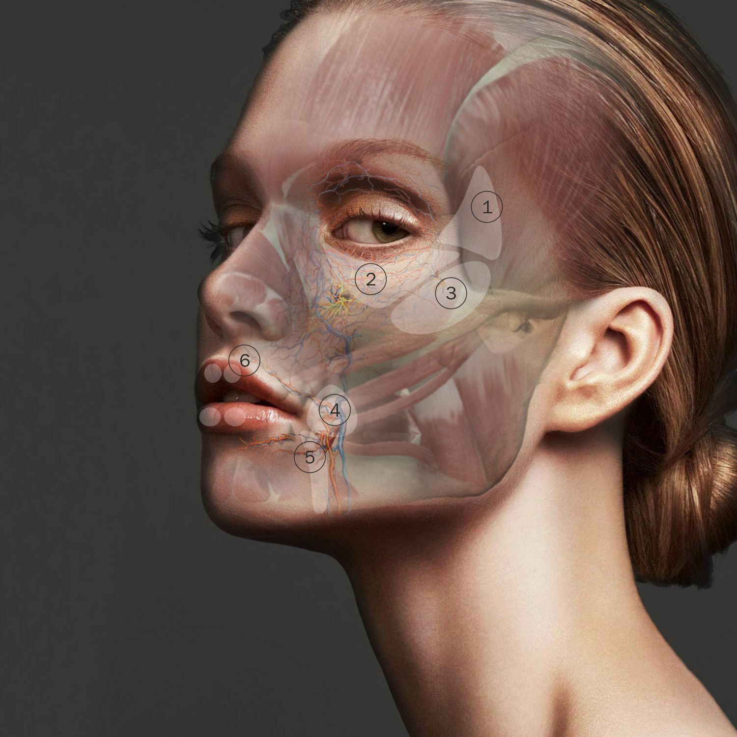 Face Natural опасные зоны