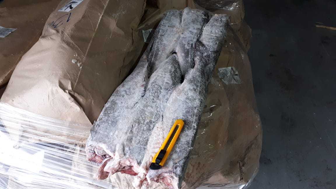 Сайда мурманск 2019\