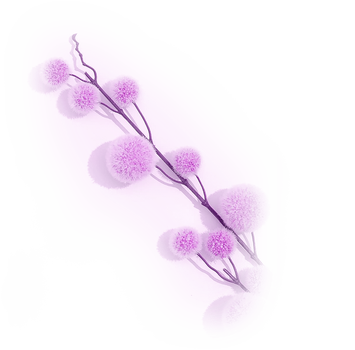 Программа МОЖНО ВСЁ