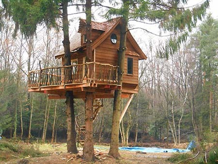 дома и домики на деревьях