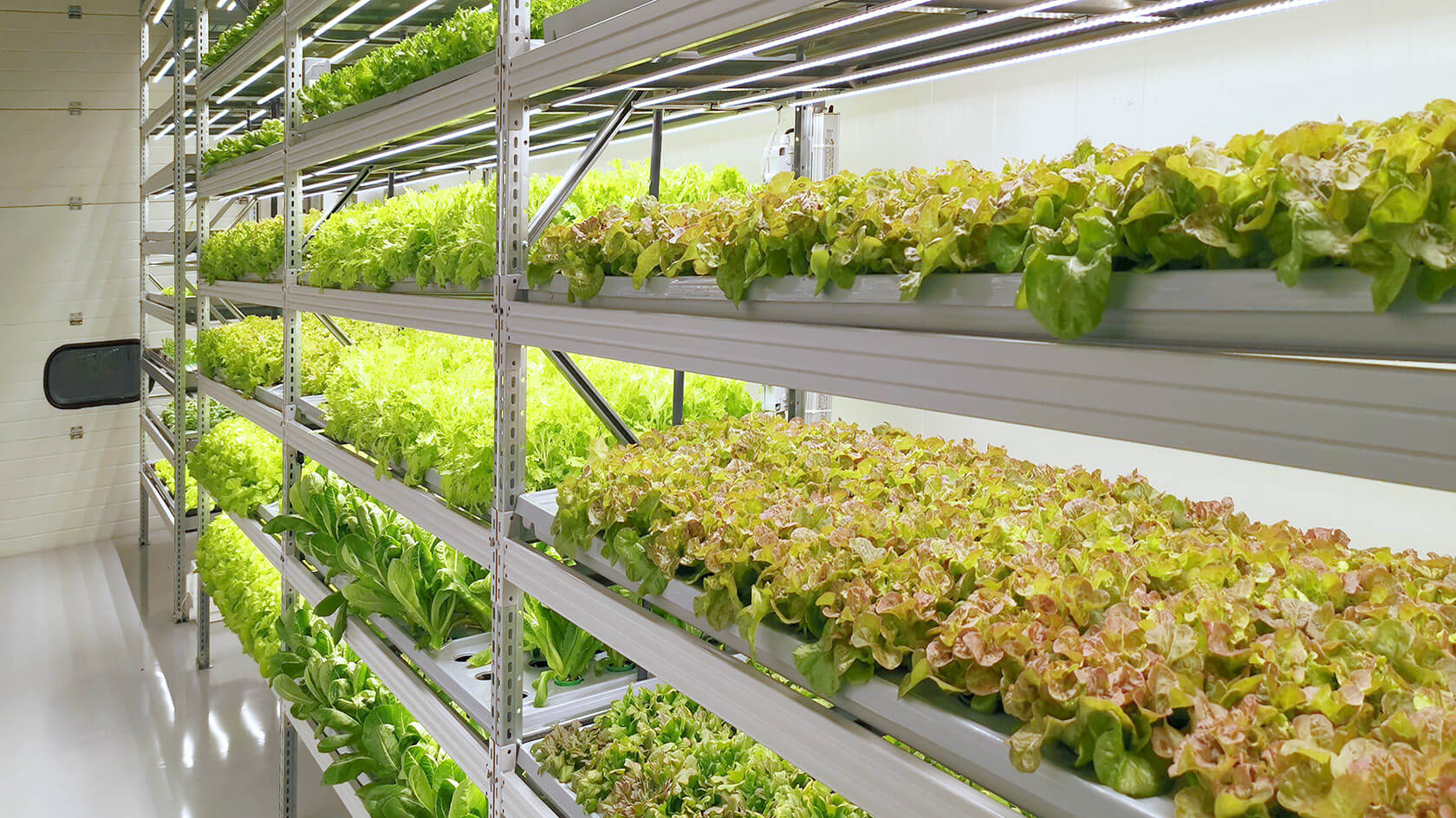 Vertical salad farm, laboratory & showroom, 57 sq.m., Espoo, Finland