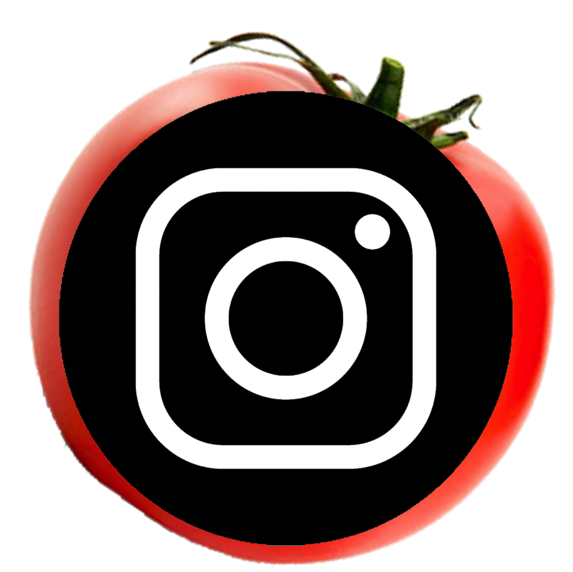 логотип инстаграм