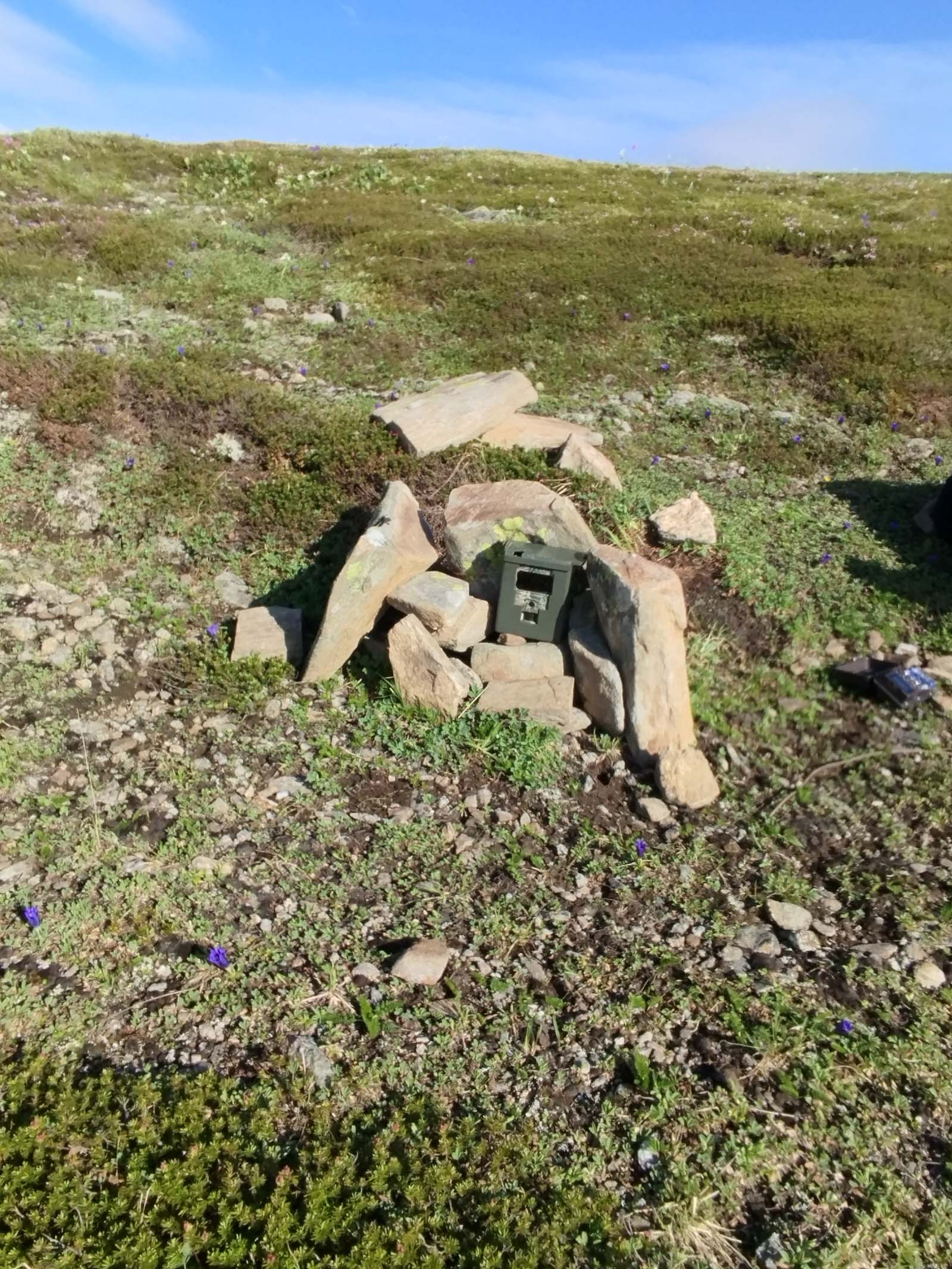 По следам северного оленя