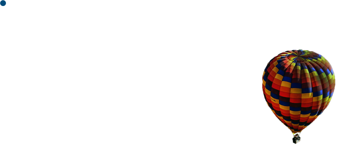 Company name