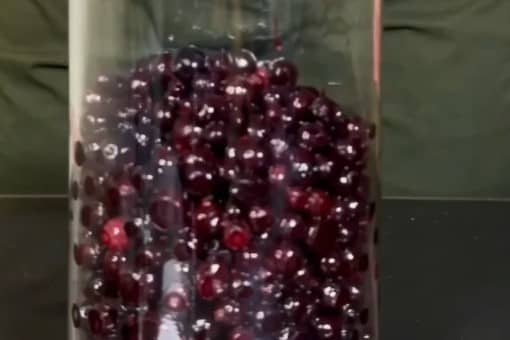 Приготовление настойки на чёрной смородине: шаг 1