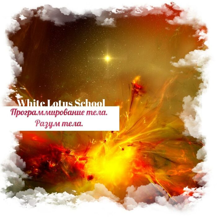 Школа Белого Лотоса