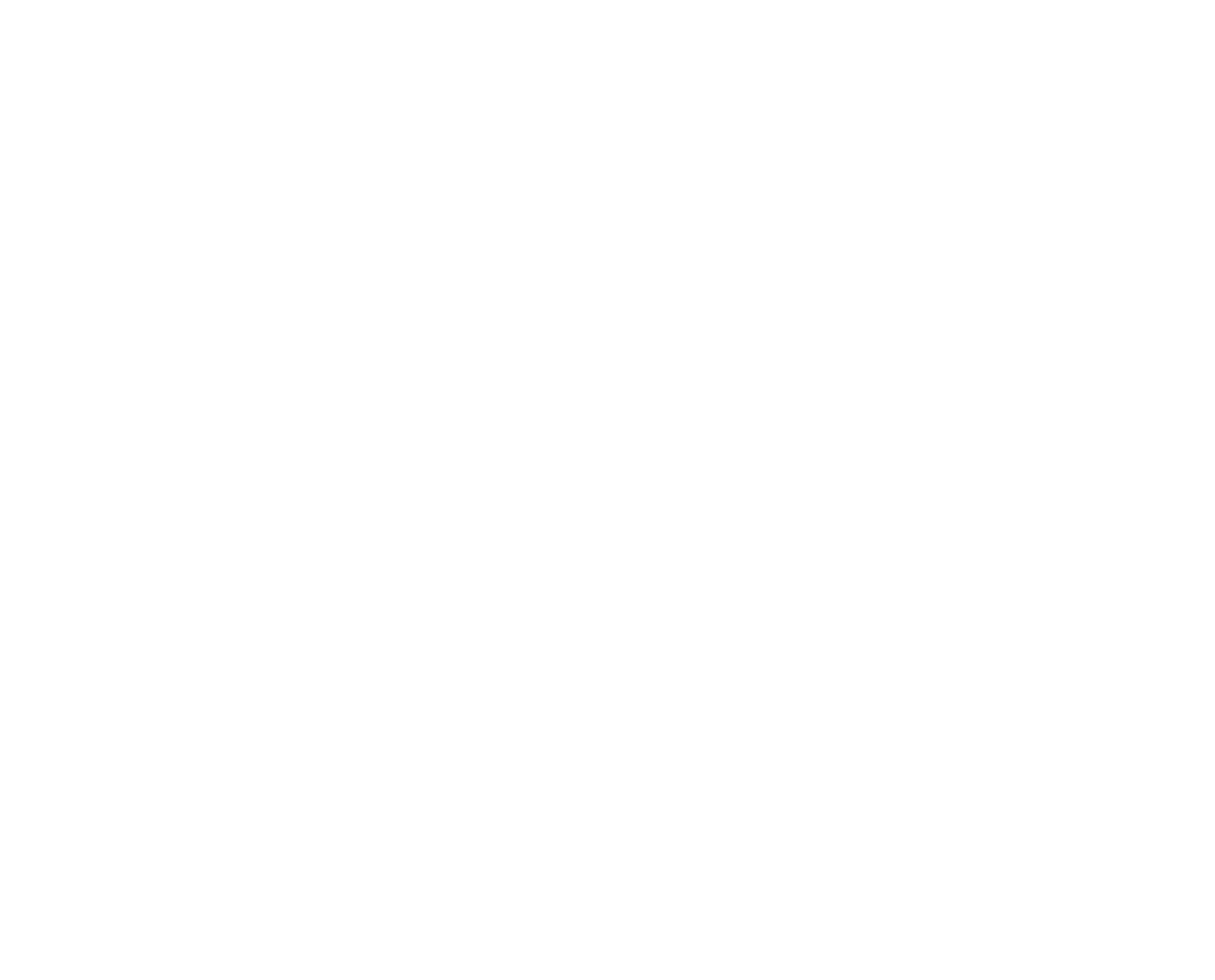 DRAGON SCHOOL