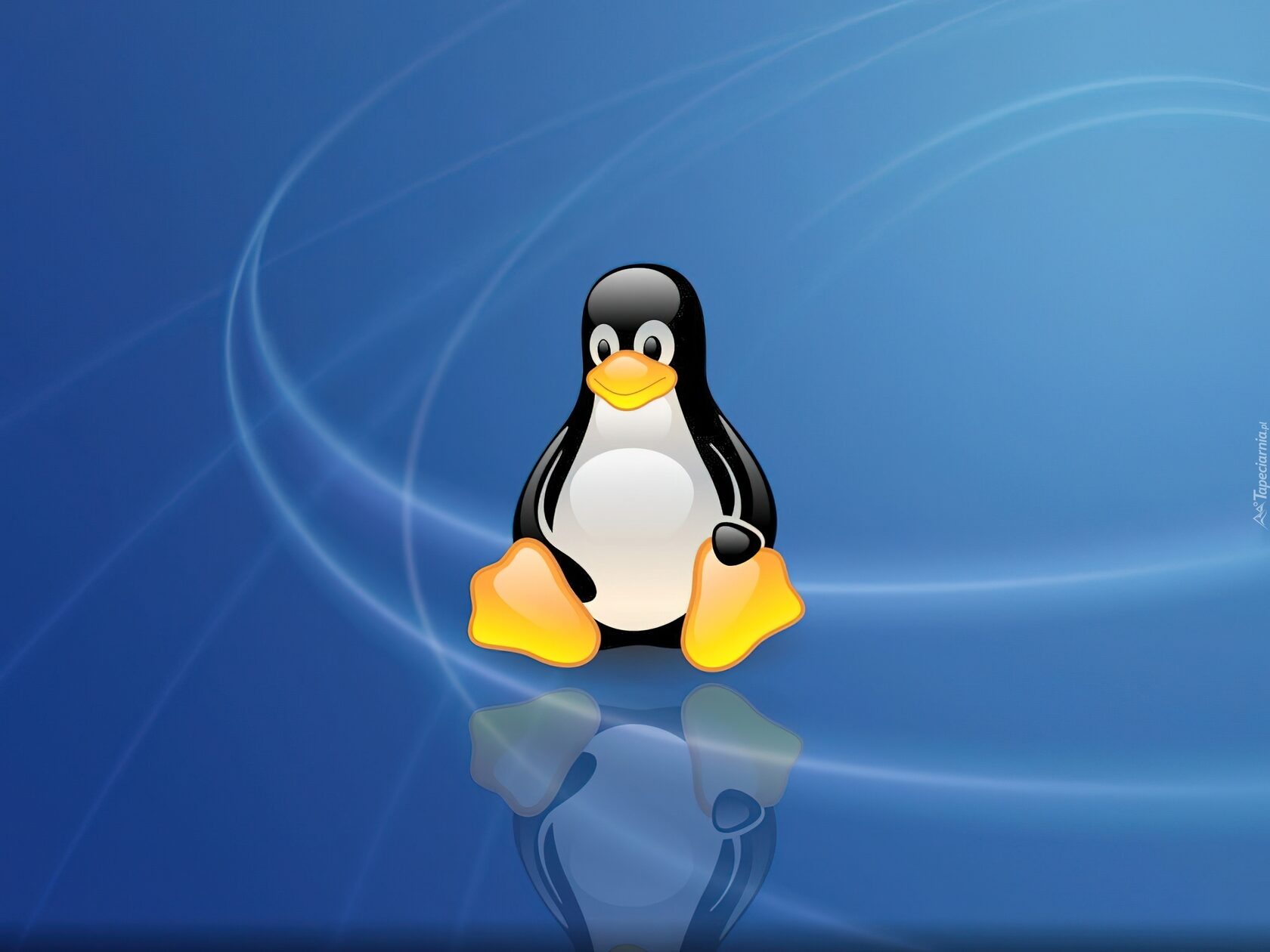 Операционная система linux