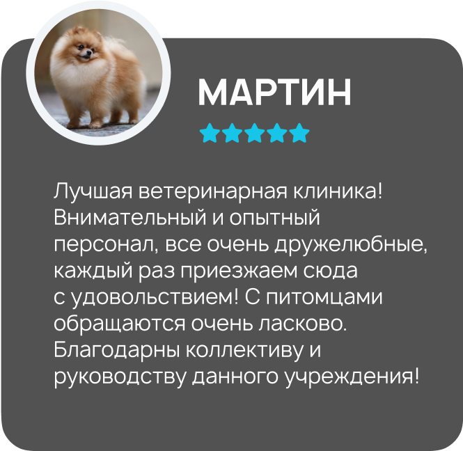 Центр здоровья животных, ветеринарная клиника, ветеринарная клиника в Туле, ветклиника центр здоровья животных, ветклиника, ветклиника тула, стерилизация собак Тула, стерилизация кошек Тула, врач ветеринар на дом, врач ветеринар на дом Тула, врач для животны, врач для животных Тула, врач по почкам ветеринар, врач хирург ветеринар, Тула ветеринар, Ветеринарная больница Тула, Тула лечение животных, Тула вакцина собаке, Тула вакцина кошке, стерилизация Тула, кастрация Тула, груминг Тула, зоогостиница Тула, передержка животных Тула, ветеринарная аптека Тула, ветеринарный врач Тула, лечение животных, вакцинация, стерилизация, кастрация, кастрация собак, кастрация кошек, кастрация Тула, кастрация собак Тула, кастрация кошек Тула, груминг, груминг Тула, зоогостиница, передержка животных, ветеринарная аптека.