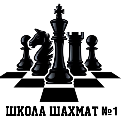  Школа шахмат в Кемерово 