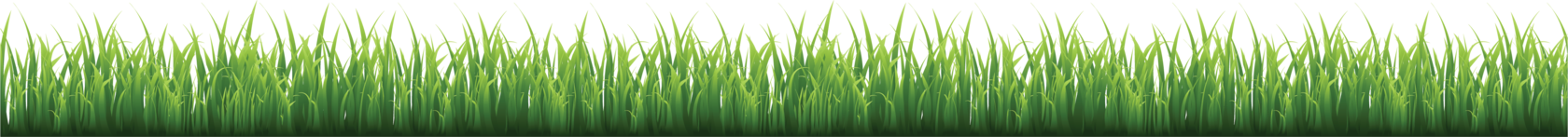 Диагностика зрения