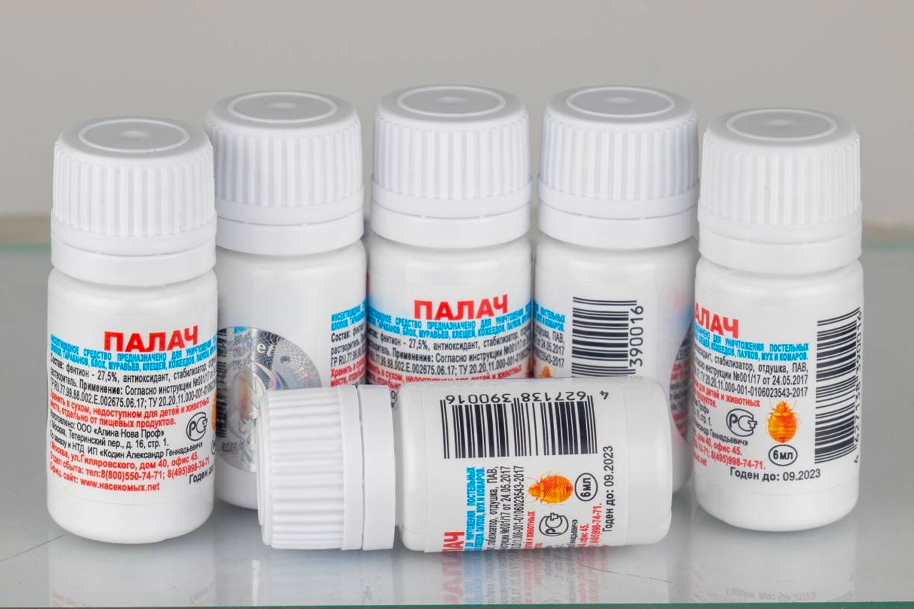 Как бороться с блохами: эффективные методы и способы избавления