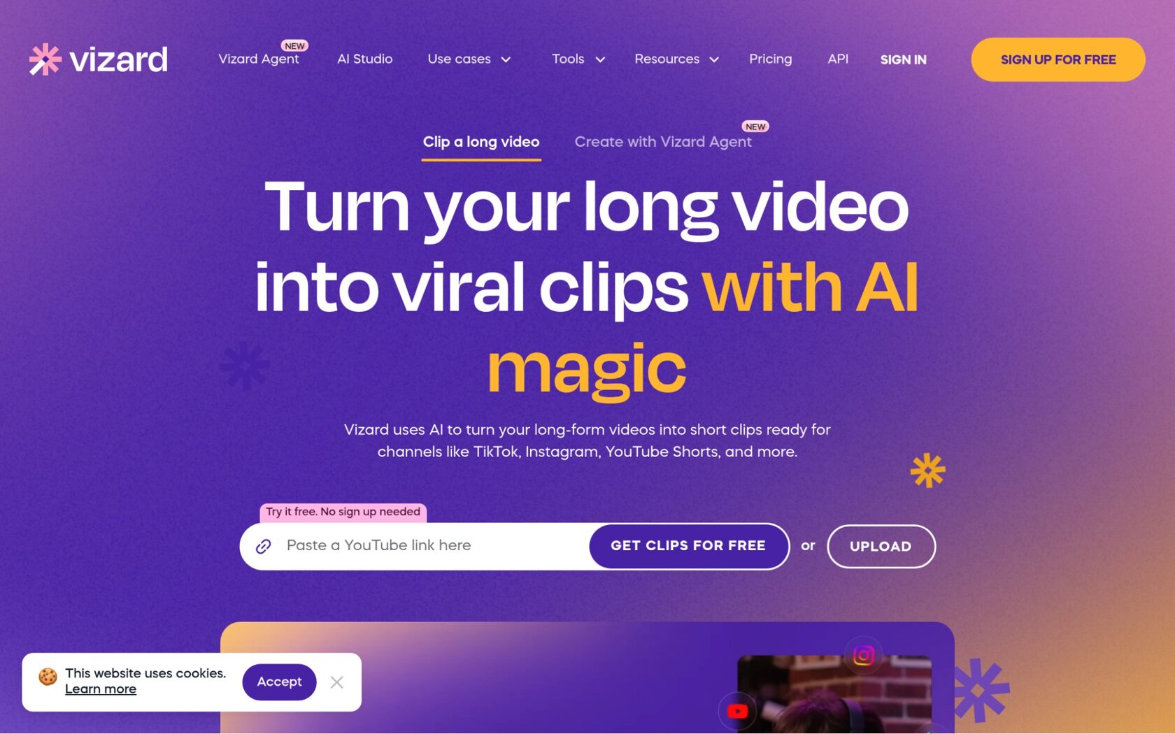 Vizard Screenshot