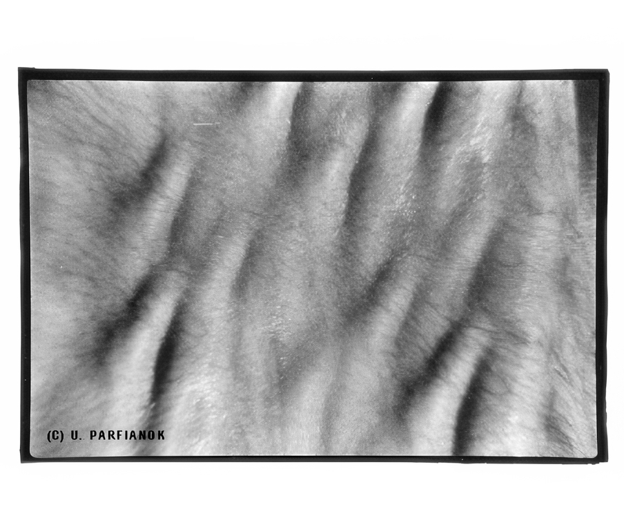 Владимир Парфенок. «Без названия» (1996)