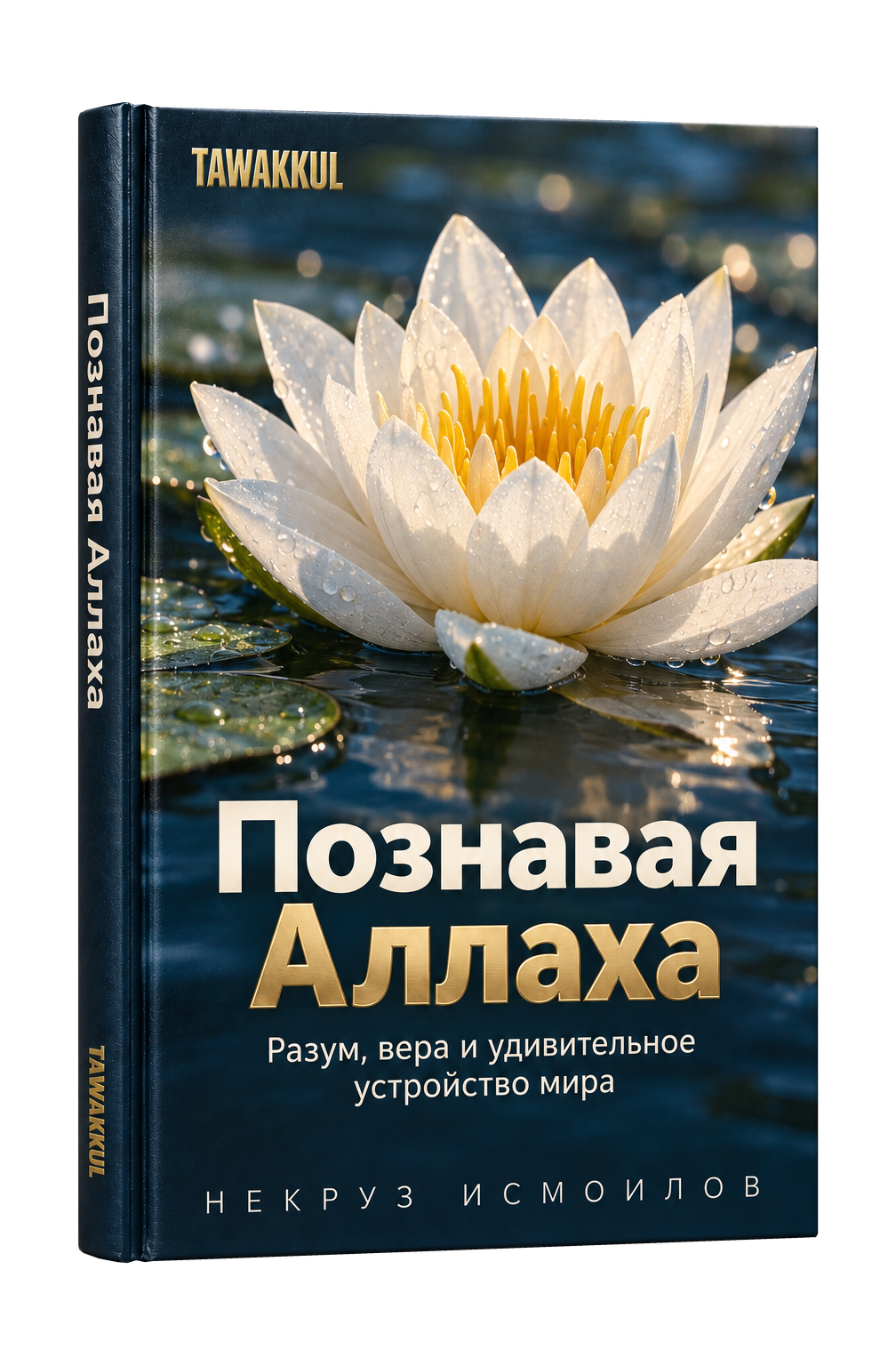Познавая Аллаха
