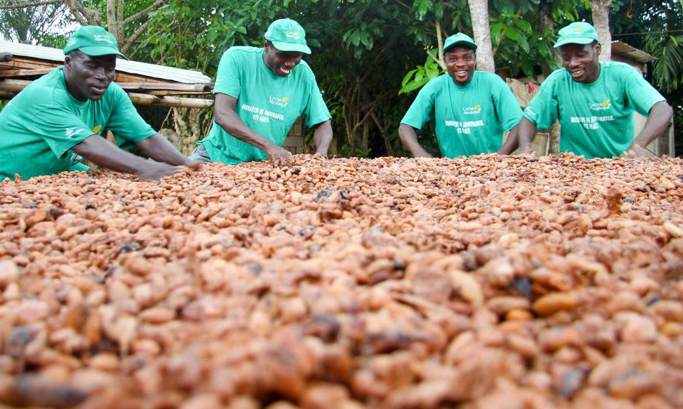 Growing Ideas Fair Trading For Farmers Originally Published By Rabobank