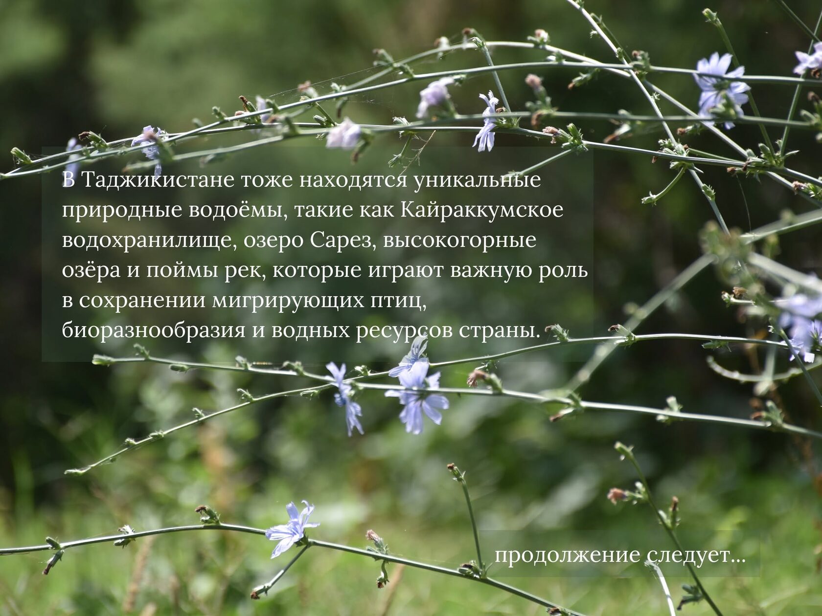 Нет описания фото.