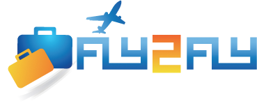 Agent fly tj. Компания Fly. Флай ту Флай. ООО Флай сервис. ООО «Флай дрон».