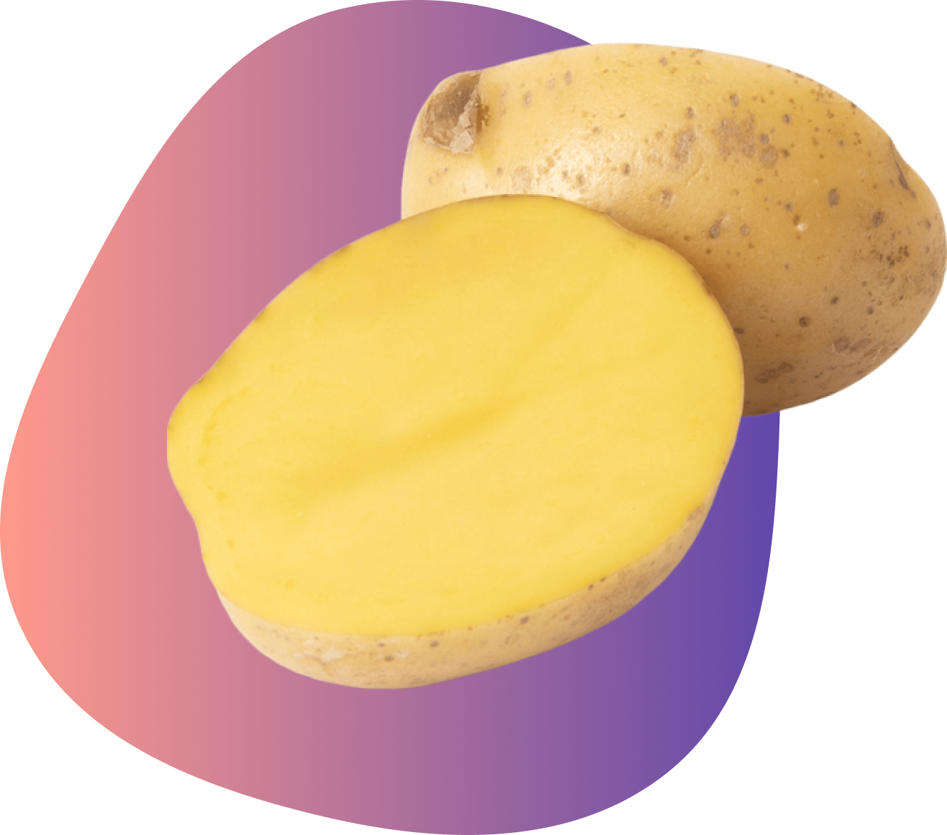 Почему картошка вредна