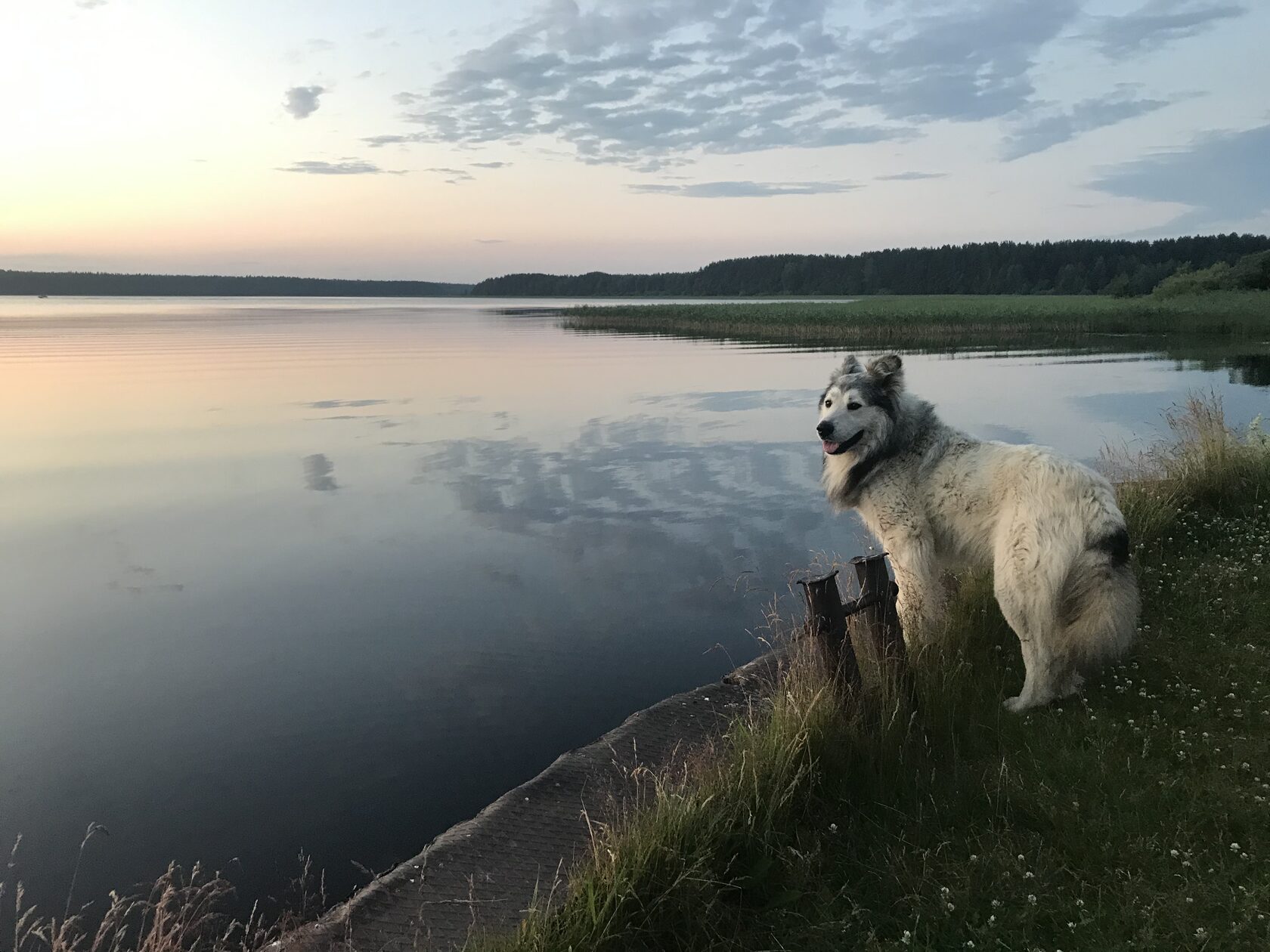 Андреевский кордон