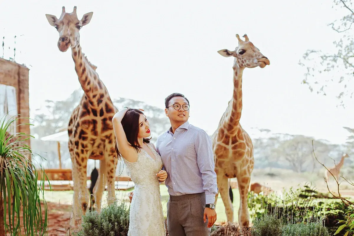 Editorial Pre-Wedding Portraits With Giraffes In Nairobi Kenya