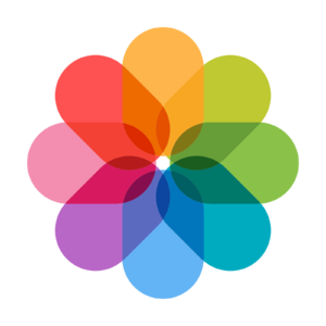 website icon