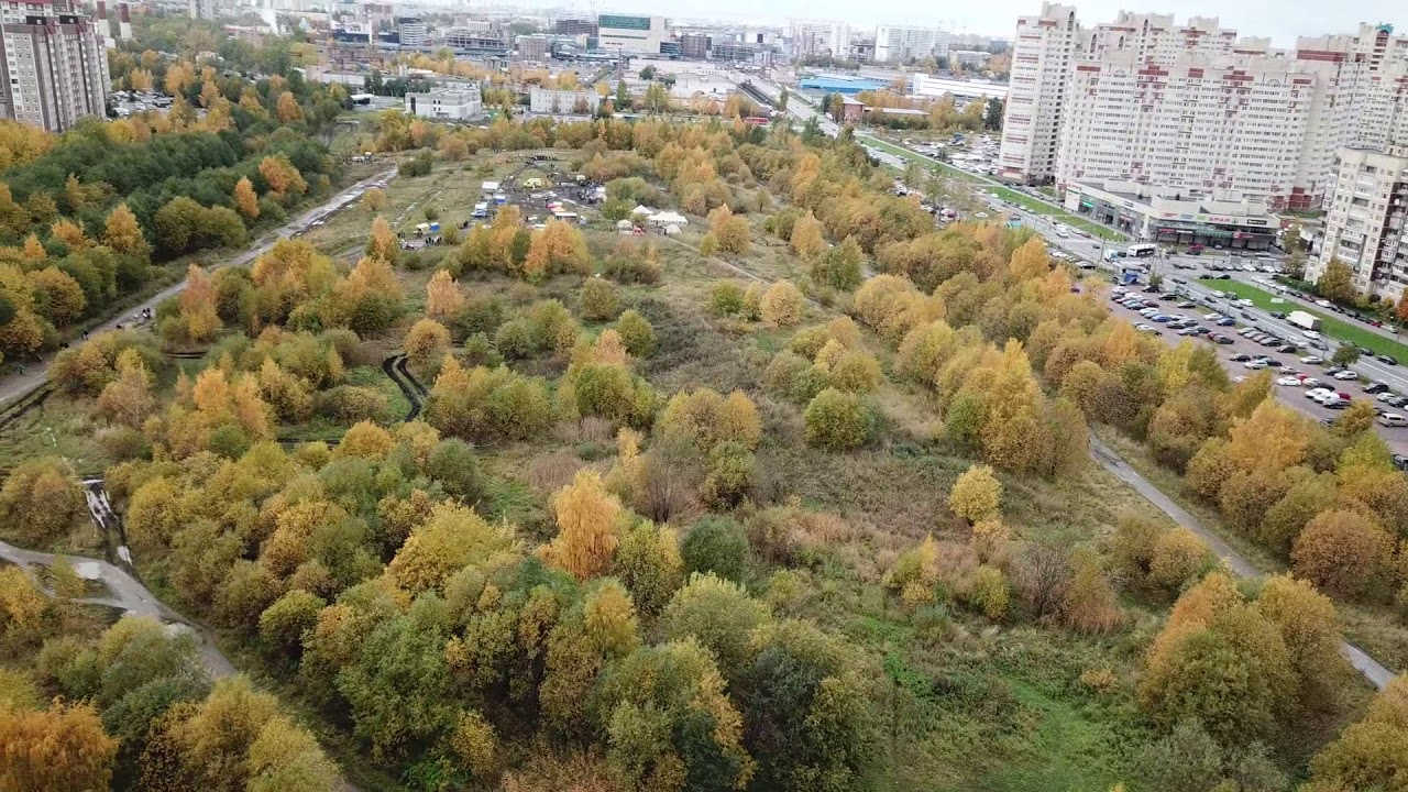 Зеленые насаждения под угрозой