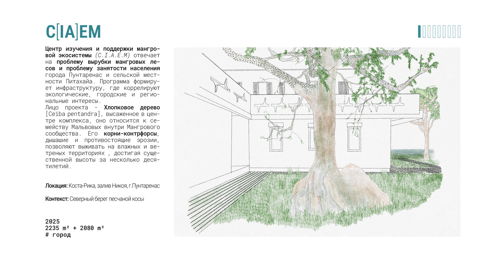 Игровая зона на открытом воздухе между комнатами подростков в частной вилле. Двор с внедрением стены для боулдеринга/скалолазания. Благоустройство частной территории.