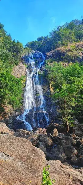 Каскад воды по чёрным скалам в джунглях