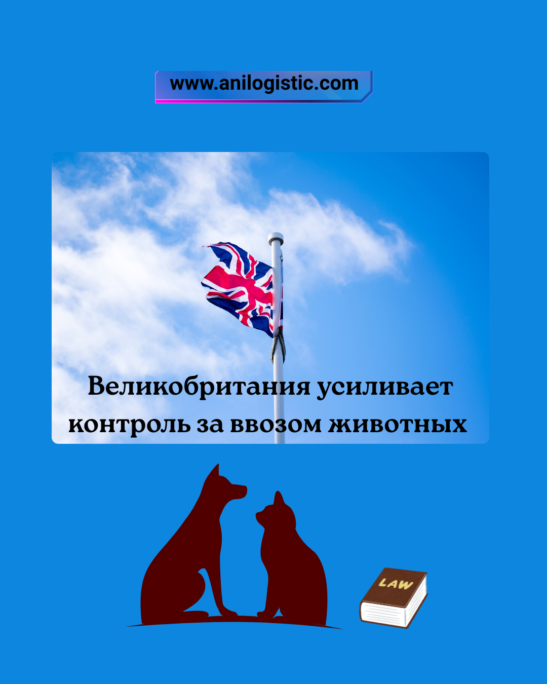 Великобритания усиливает контроль за ввозом животных