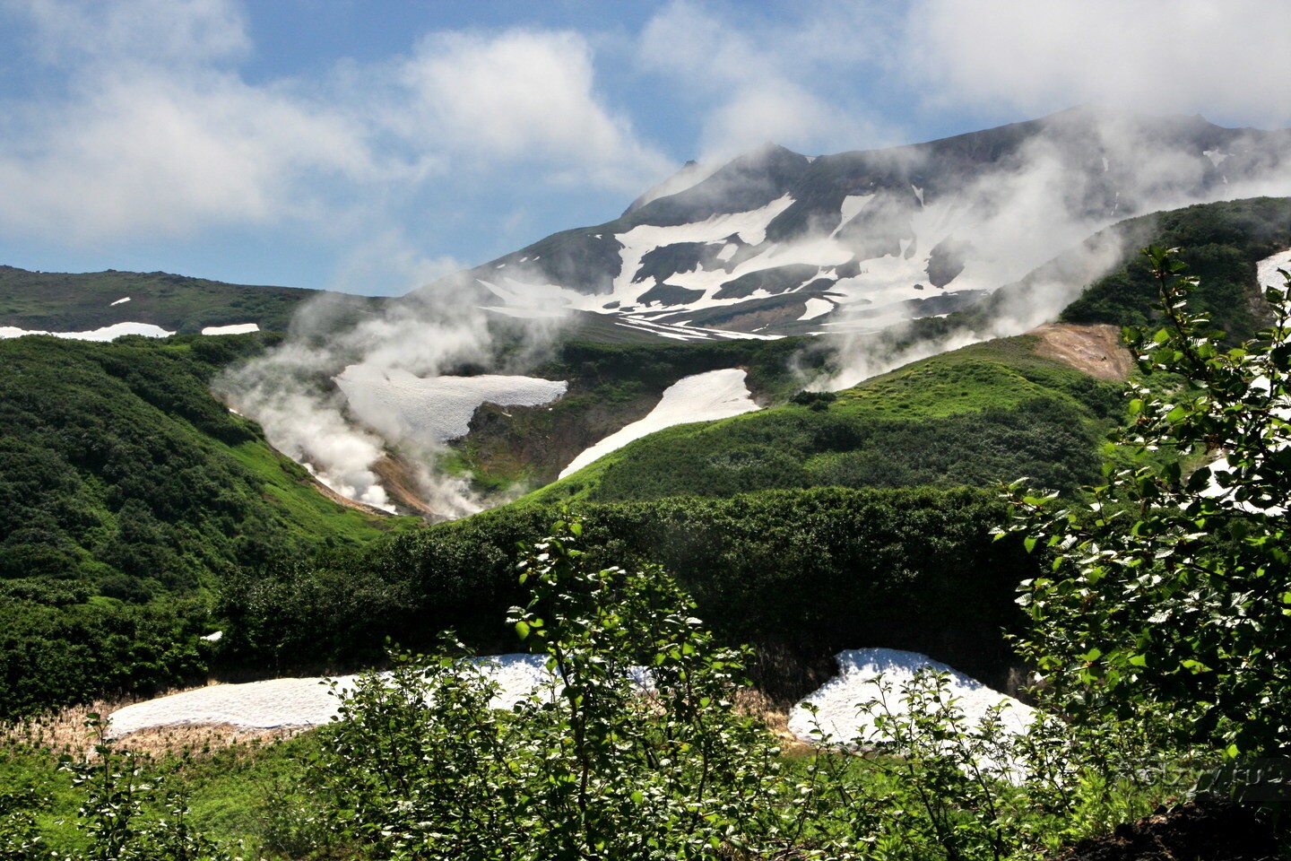 Долина мини гейзеров на камчатке фото