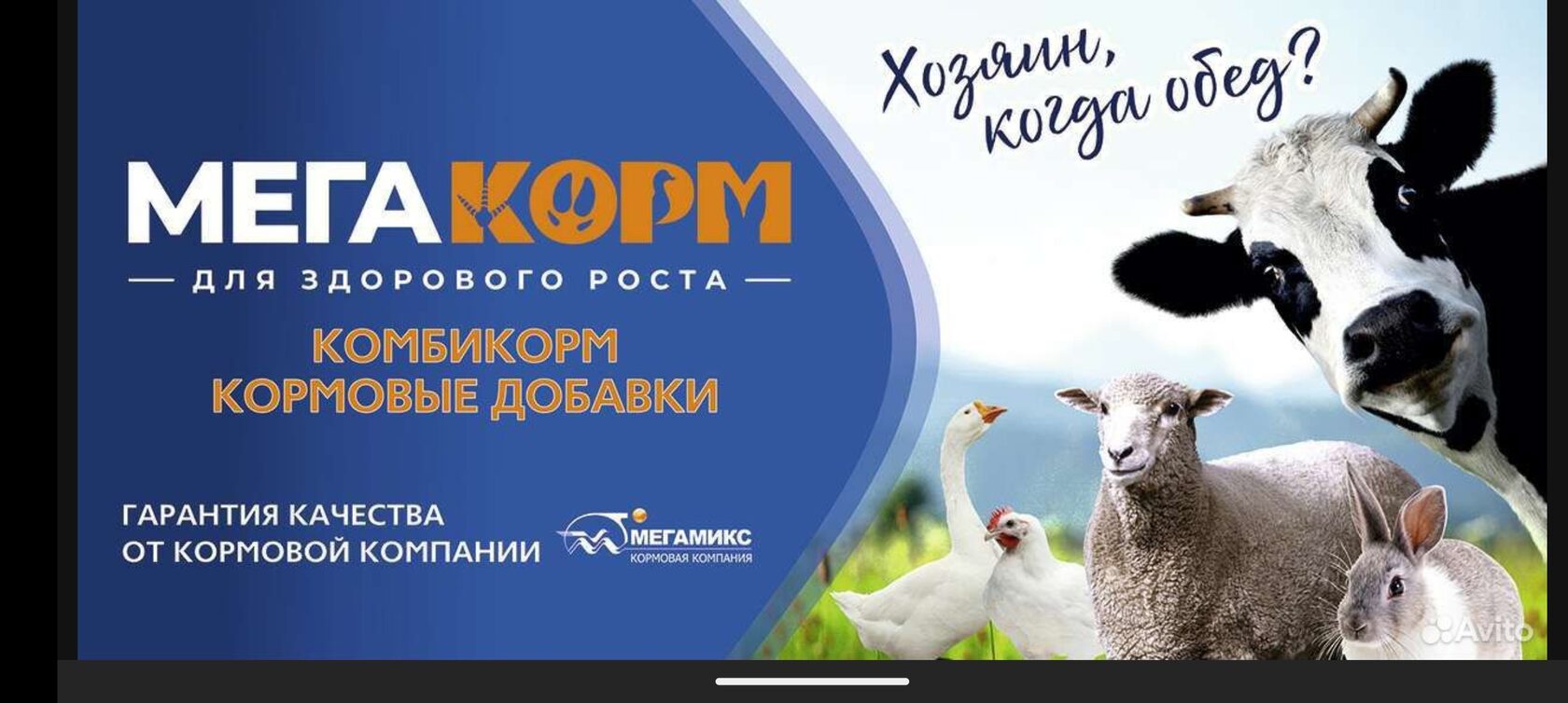 Пурина Корм Для Поросят Купить